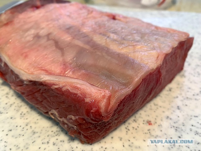 Каклетные страдания