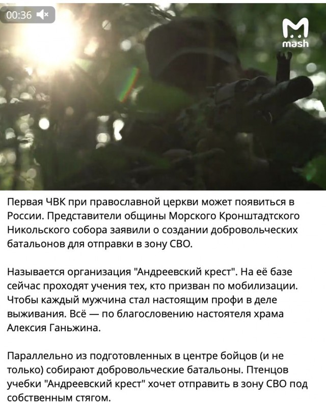 У "отрядов Путина" появились конкуренты