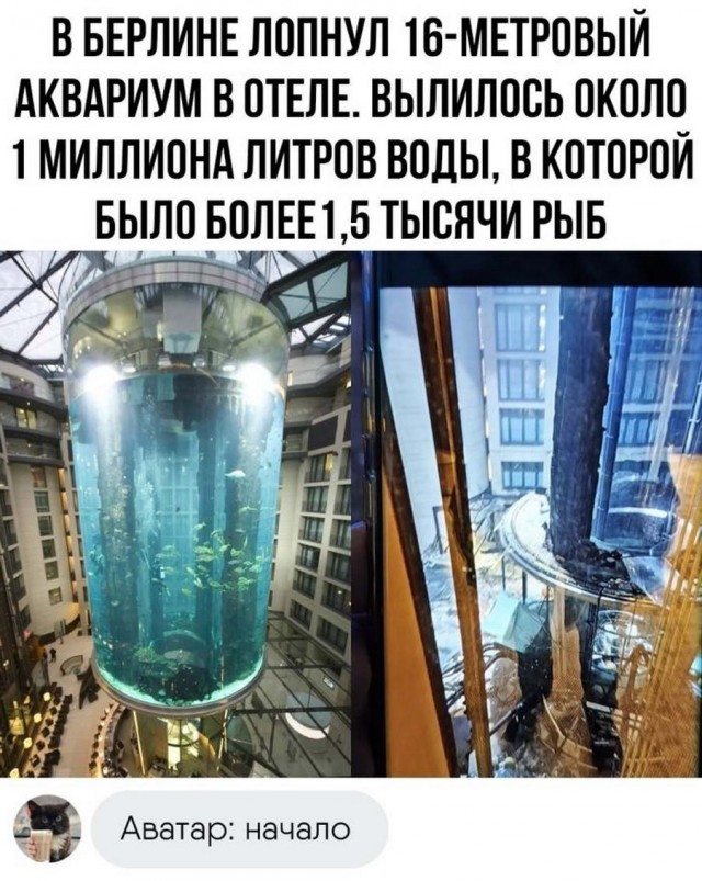 Картинки и мемы для настроения - 125