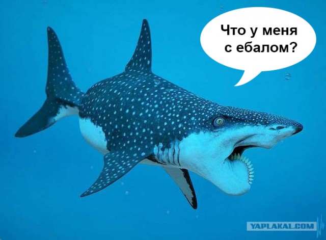 10 животных, которые вымерли — к счастью для человека