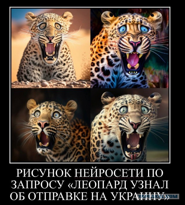 Прошёл слух Леопарды подвезли.