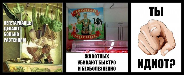 Молоки