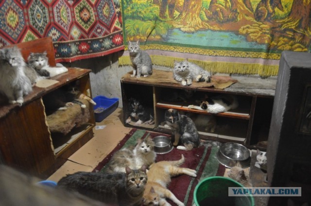 Есть еще добрые люди…