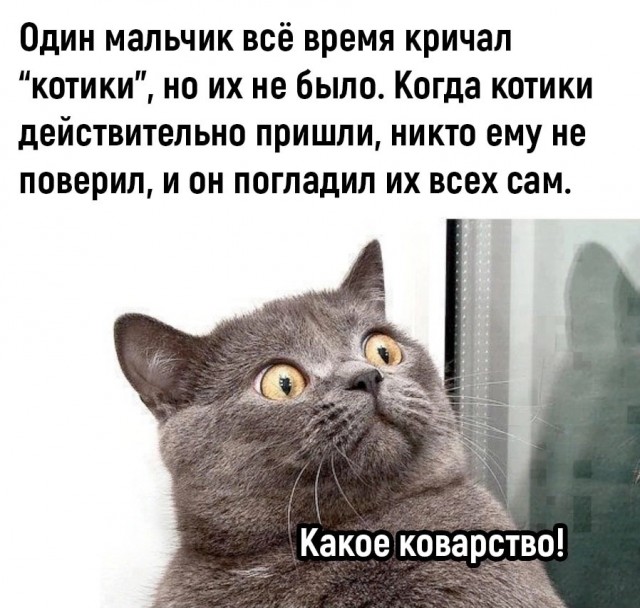 Так себе картинки 06.05.23