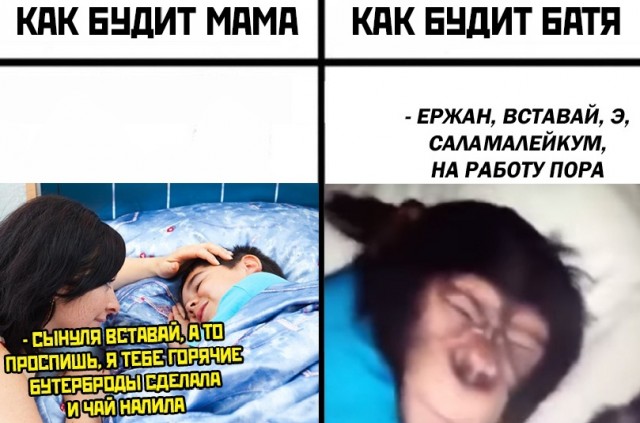 Папа вам не мама