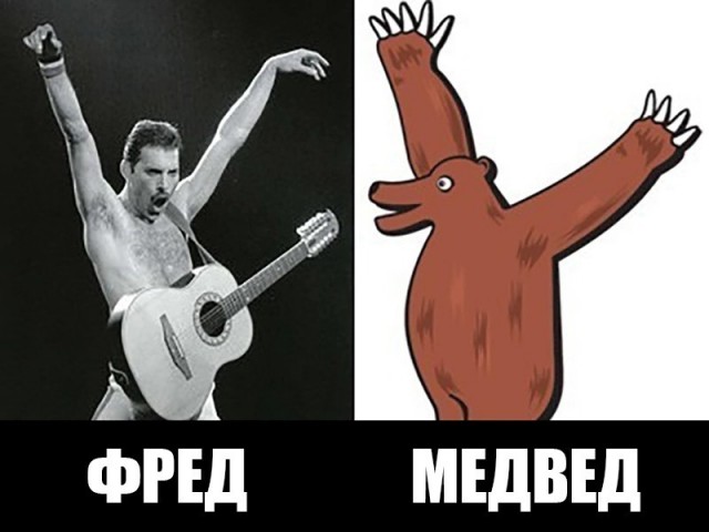 Котики, панки и дестрой