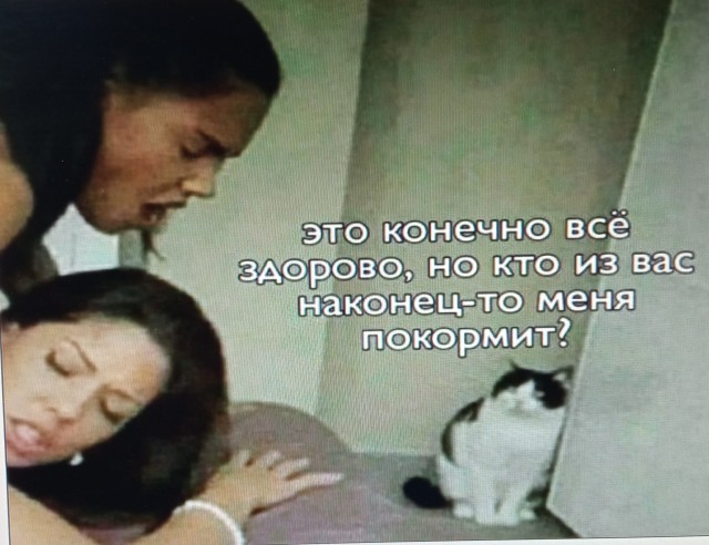 Почему мужчина начинает дико бухать, как только уезжает жена