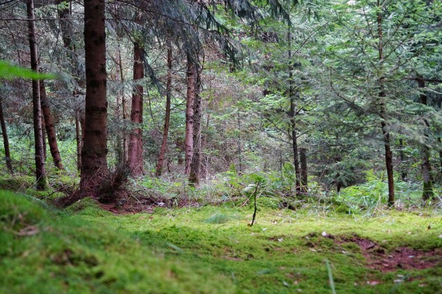 Солнечный день!