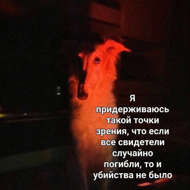 Никакие картинки