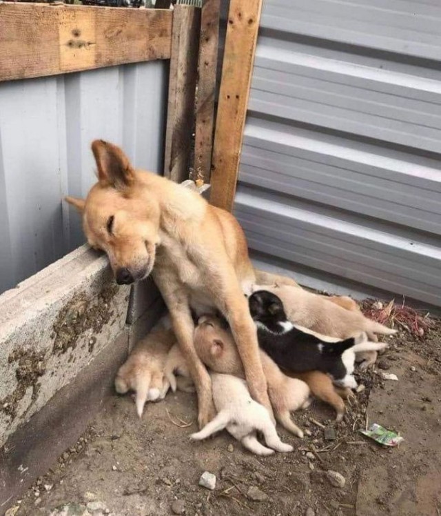 ФотоВинегрет