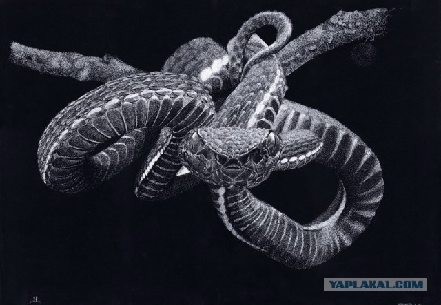 Белым по черному-2