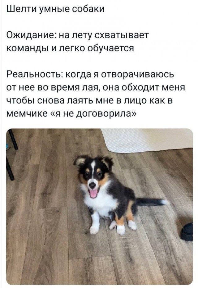 Всего понемногу. От 02.08.24