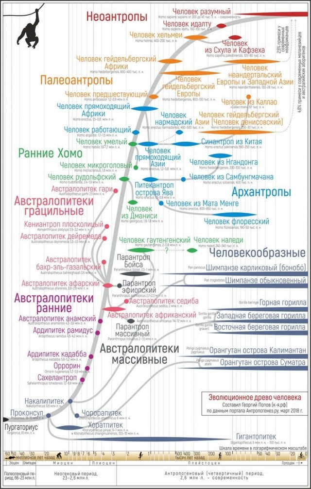 На телеканале «Спас» объяснили, почему теория Дарвина — ошибка.