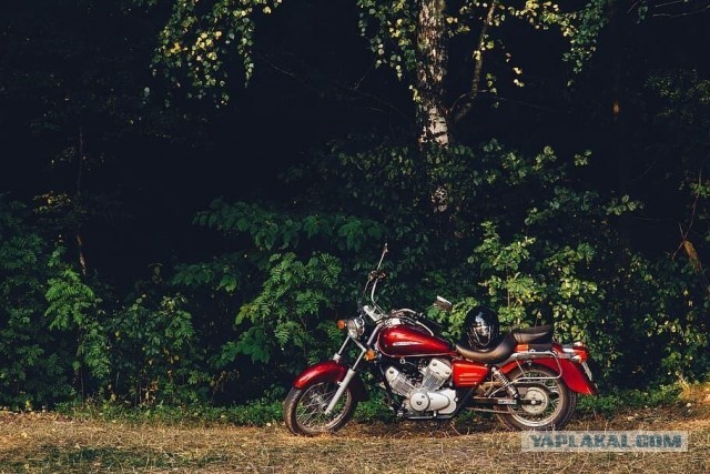 В лесах Подмосковья появились ловушки для мотогонщиков