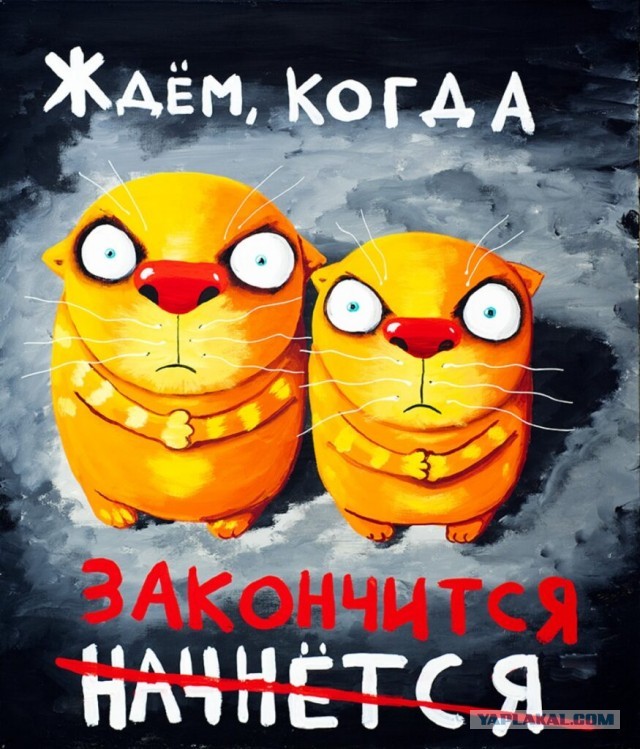 Пока ещё котовторник
