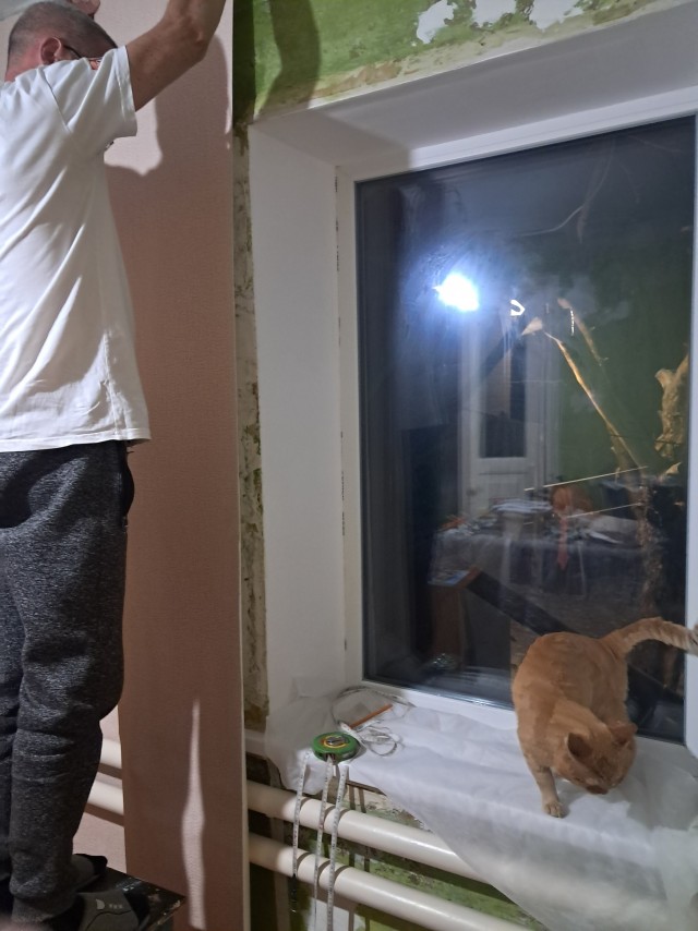 Мы с котом делаем ремонт.