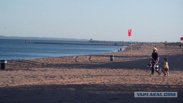 Вы все еще хотите в евродурдом?