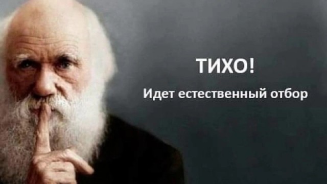 Акрофобией кто-то страдает? Нет? Значит будет