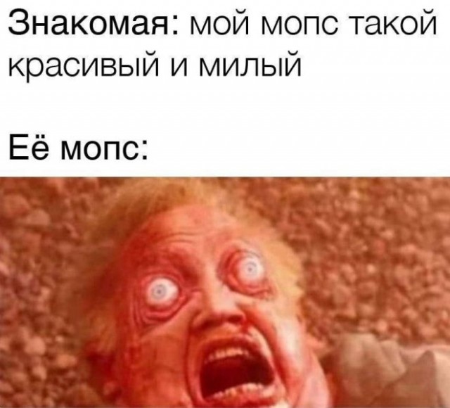 Веселые картинки в маленькую пятницу (16.04)