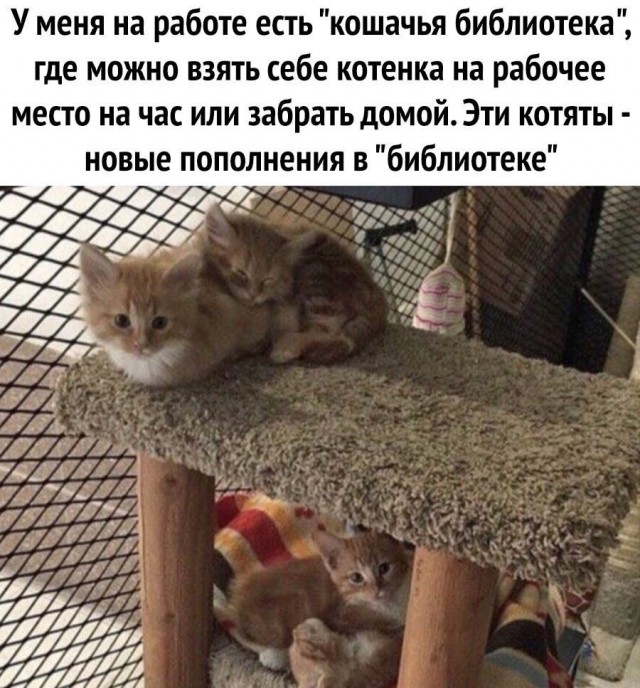 Так себе картинки 22.05.25
