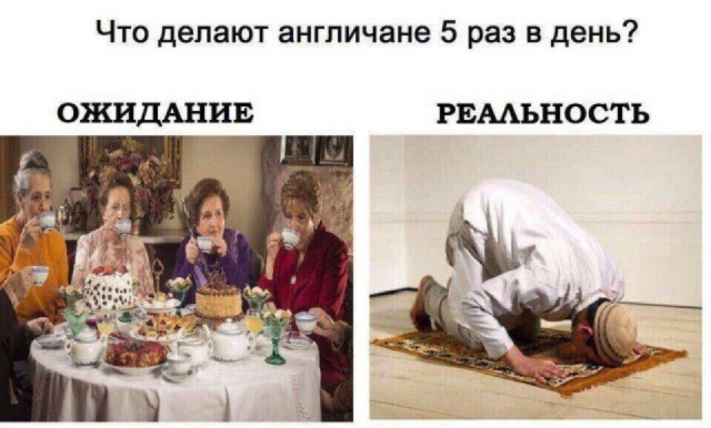 Разбавим унылое воскресенье отборной дичью