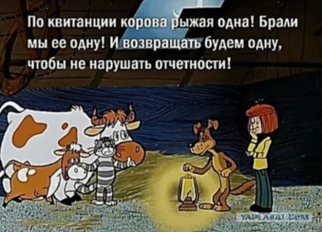 В Пулково полностью запретили курить бесплатно