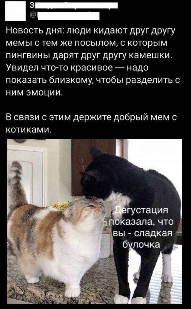 Так себе картинки 20.07.25