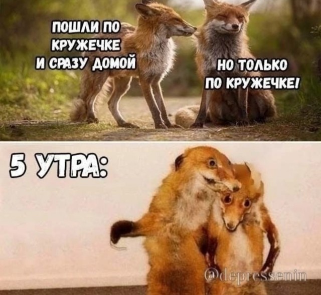 Веселое настроение в картинках (31.07.2025)