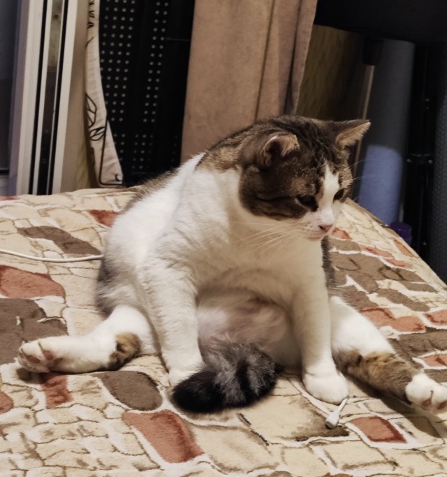 Стоять! Не двигаться! Я тебя выбрал!