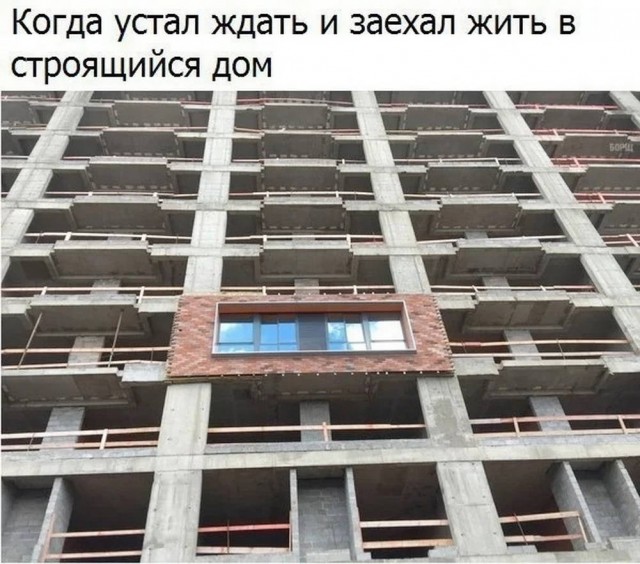 Веселое настроение в картинках (21.11.2025)