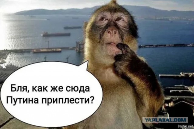 Канада готовится к партизанской войне с США