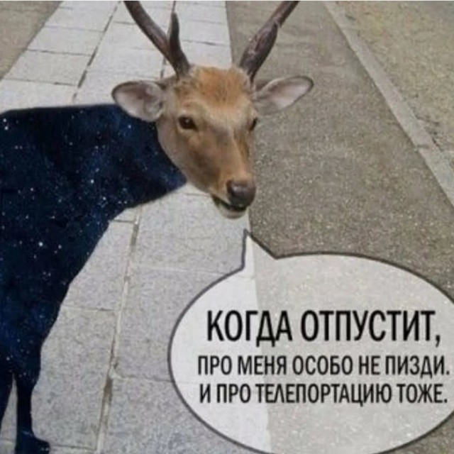 вояджер