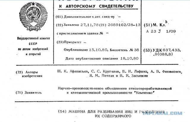 Завод по производству ломаной скорлупы