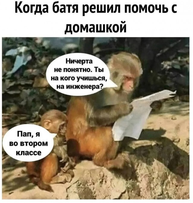 Картинки для деградации 216 (разной степени свежести)