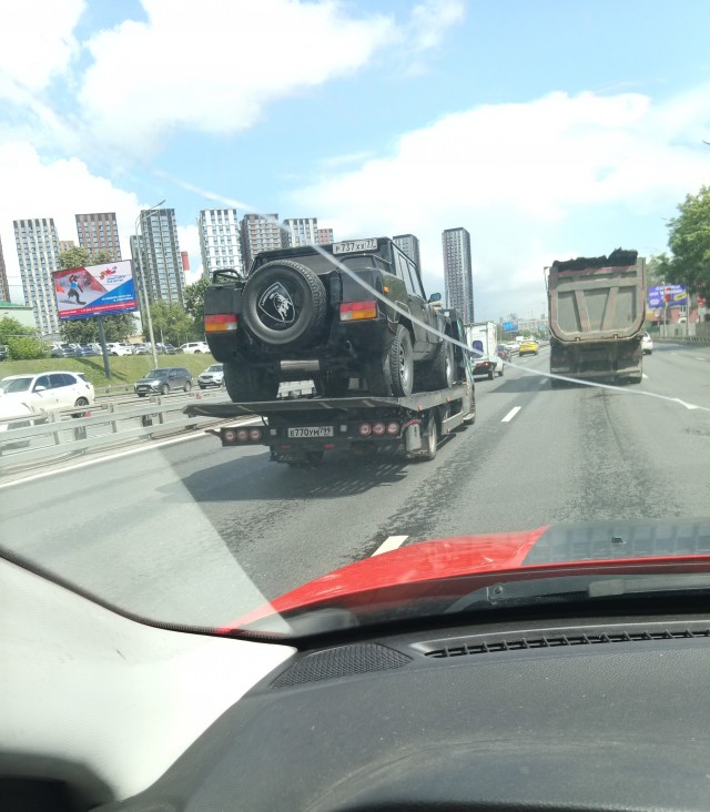 Редкий зверь