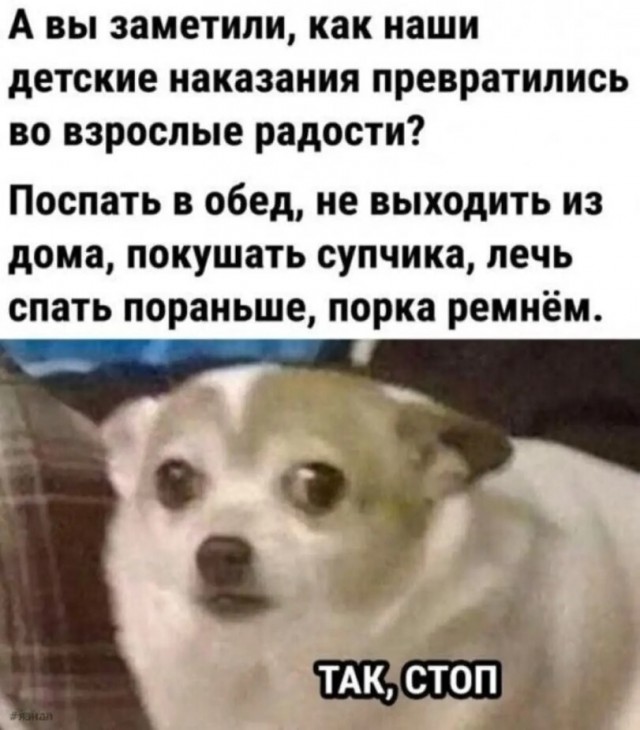 Веселые картинки в понедельник (03.08)