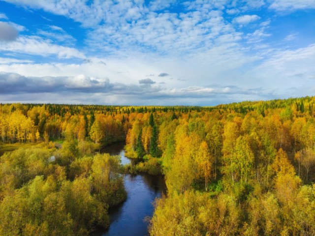Осень в тайге