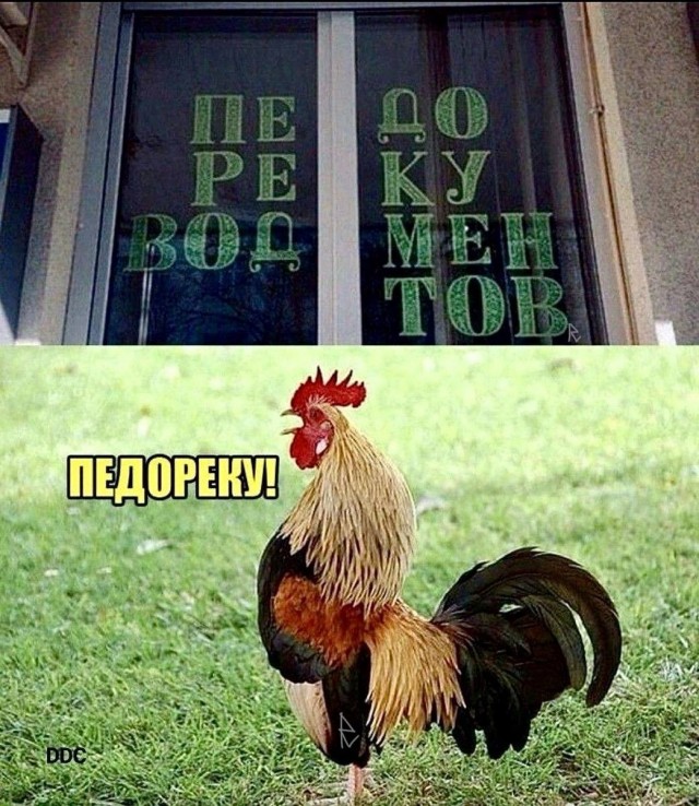 Картинки для деградации 285 (разной степени свежести)