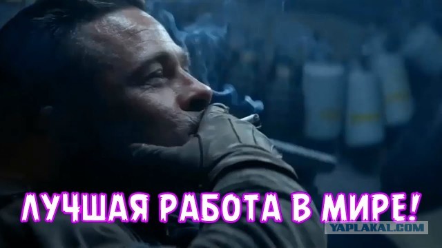 За подсчёт пингвинов в Антарктиде предлагают платить ₽230 тыс. в месяц