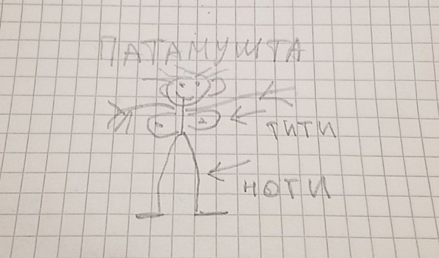 Рисунки.