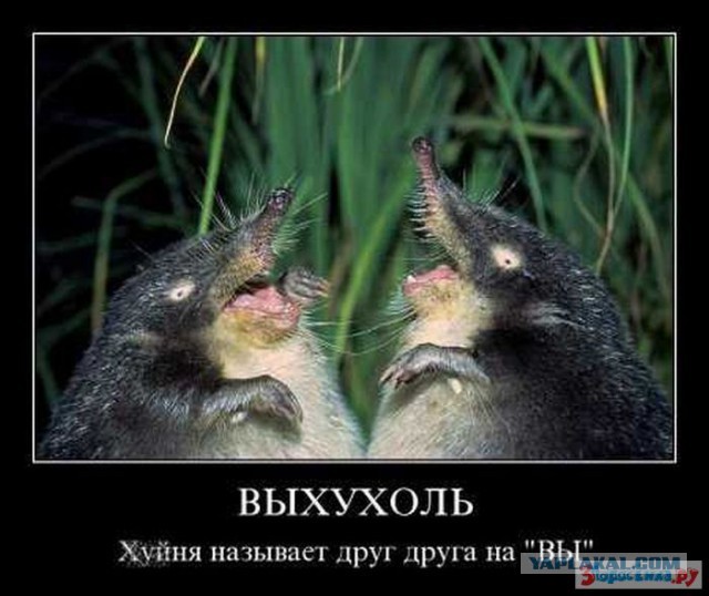 Русским. Настоящим русским.