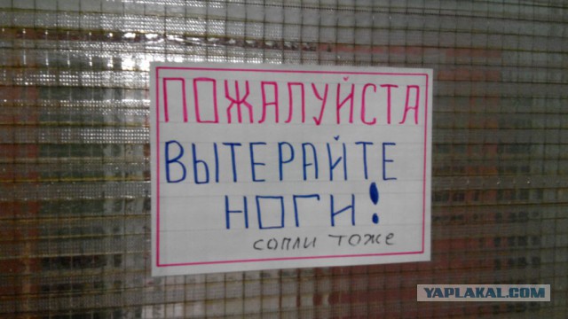 Фотоприколы