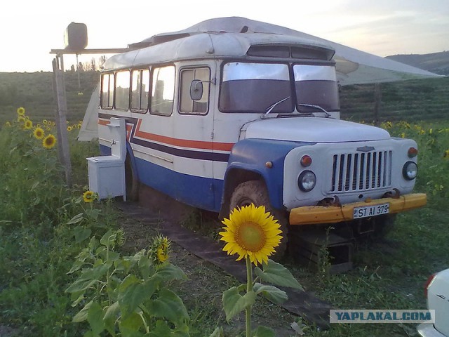 Эта пара бросила работу