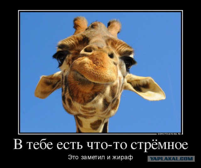 Картинки с буквами 5