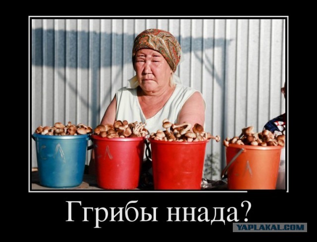 Любимая ГРИБОСРЕДА – опять нас радует всегда!