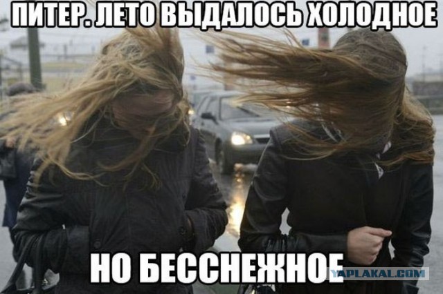Подборка прикольных картинок на понедельник