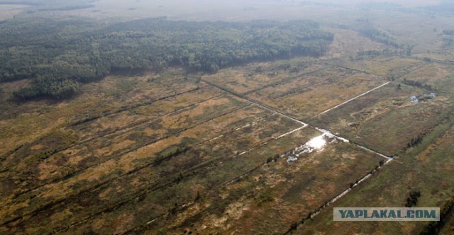 Повтыкать на ночь глядя