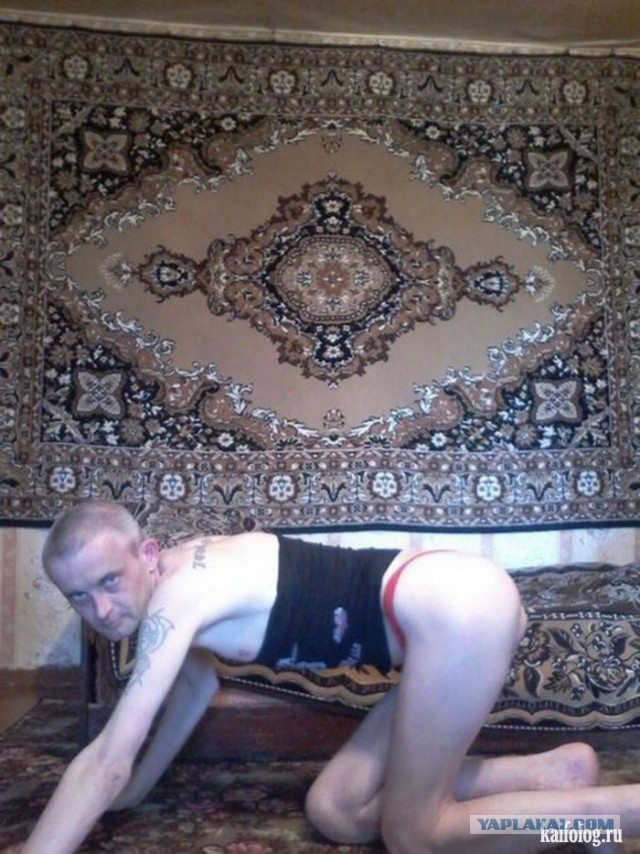 Ужасы и приколы из соцсетей 18+