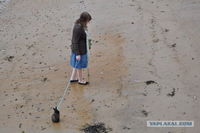 А давайте улыбнёмся