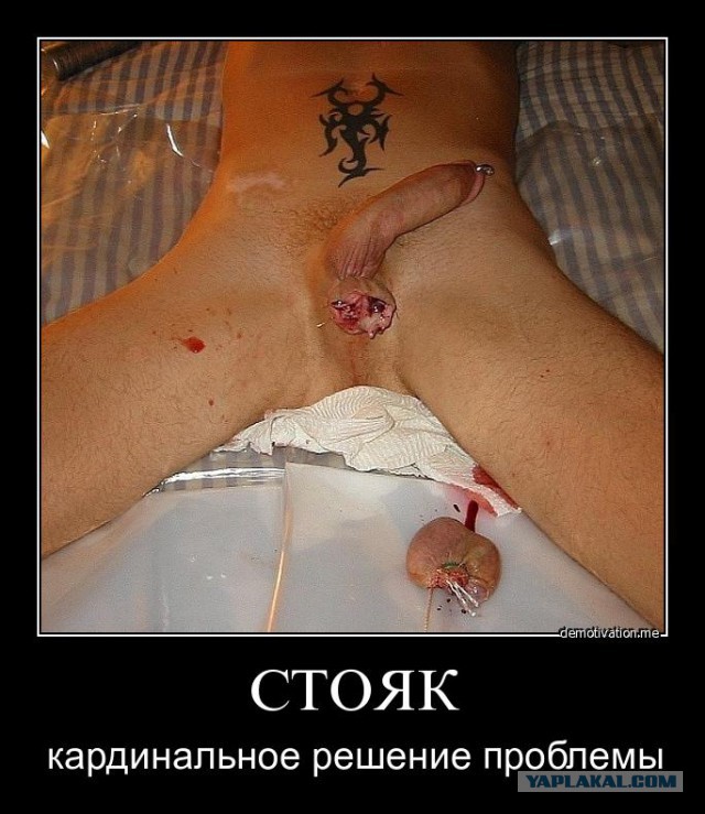 Чайлдфри, "секс в СССР" и прочее